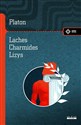 Laches, czyli O odwadze; Charmides, czyli O umiarkowaniu; Lyzis, czyli O przyjaźni pl online bookstore