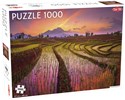 Puzzle Fields in Indonesia 1000 - 