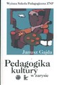 Pedagogika kultury w zarysie pl online bookstore