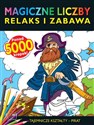 Magiczne liczby Tajemnicze Kształty - Pirat - Polish Bookstore USA
