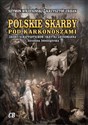 Polskie skarby pod Karkonoszami Zbiory Schaffgotschów, skrytki Grundmanna, "Szczelina Jeleniogórska" in polish