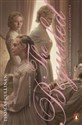 The Beguiled - Polish Bookstore USA