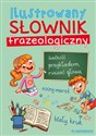 Ilustrowany słownik frazeologiczny - Opracowanie Zbiorowe Polish bookstore