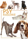 Psy rasowe  