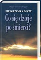 Pielgrzymka duszy Co się dzieje po śmierci - Polish Bookstore USA