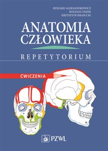 Anatomia człowieka Repetytorium Ćwiczenia to buy in Canada