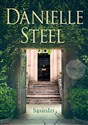 Sąsiedzi - Danielle Steel