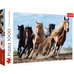 Puzzle 1000 Galopujące konie to buy in Canada