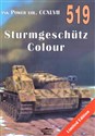 Sturmgeschutz Colour. Tank Power vol. CCXLVII 519  Canada Bookstore