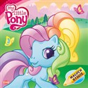 Mój kucyk Pony Maluch rysuje R-201 online polish bookstore