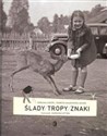 Ślady / tropy / znaki  