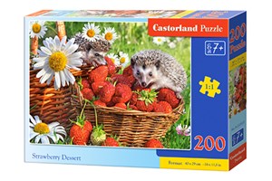 Puzzle Premium Strawberry Dessert 200 B222025 pl online bookstore