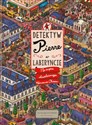 Detektyw Pierre w labiryncie Na tropie skradzionego Kamienia Chaosu polish books in canada