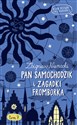 Pan Samochodzik i zagadki Fromborka Tom 7 bookstore