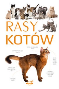 Rasy kotów in polish