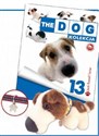 Dog Kolekcja 13 Jack Russell Terrier  pl online bookstore