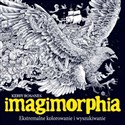 Imagimorphia Ekstremalne kolorowanie i wyszukiwanie Polish Books Canada