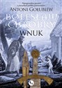Bolesław Chrobry Wnuk books in polish