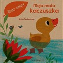 Moja mała kaczuszka - Britta Teckentrup