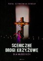 Sceniczne drogi krzyżowe dla młodzieży - Polish Bookstore USA