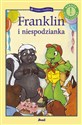 Franklin i niespodzianka - Paulette Bourgeois