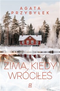 Zima, kiedy wróciłeś   