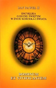Encyklika Dominum et Vivicantem  books in polish
