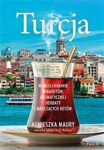 Turcja. W mojej krainie minaretów, aromatycznej herbaty i mruczących kotów  - Polish Bookstore USA