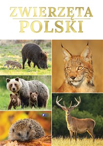 Zwierzęta Polski  Bookshop