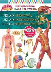 Encyklopedia ciała człowieka Układ nerwowy, układ endokrynny i układ odpornościowy online polish bookstore