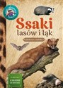 Młody Obserwator Przyrody - Ssaki lasów i łąk  online polish bookstore