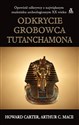 Odkrycie grobowca Tutanchamona polish usa