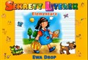 Sekrety literek Elementarz - Ewa Drop