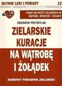 Zielarskie kuracje na wątrobę i żołądek Polish Books Canada