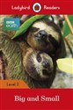 BBC Earth: Big and Small Ladybird Readers Level 2 buy polish books in Usa