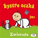 Bystre oczka Zwierzęta - Joanna Homel, Iwona Janoszek