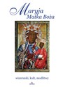 Maryja Matka Boża wizerunki, kult, modlitwy - Robert Włodarczyk, Joanna Włodarczyk, Teofil Krzyżanowski  