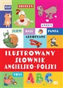 Ilustrowany słownik angielsko-polski  - Opracowanie Zbiorowe