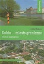 Gubin - miasto graniczne Studium socjologiczne online polish bookstore