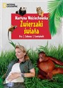 Zwierzaki świata Gry, zabawy, łamigłówki - Martyna Wojciechowska to buy in Canada