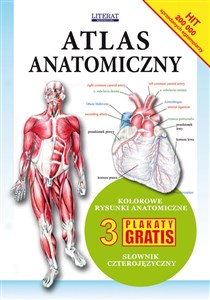 Atlas anatomiczny 3 plakaty gratis online polish bookstore