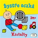 Bystre oczka Kształty Homel Joanna , Janoszek Iwona - Joanna Homel