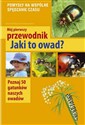 Mój pierwszy przewodnik Jaki to owad? Poznaj 50 gatunków naszych owadów - Małgorzata Garbarczyk, Henryk Garbarczyk Polish bookstore