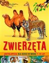 Zwierzęta Encyklopedia dla dzieci w wieku 7-10 lat pl online bookstore