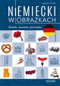 Niemiecki w obrazkach Słownik, rozmówki, gramatyka. Poziom A1-A2 polish usa