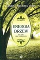 Energia drzew ich aura i moc uzdrawiania pl online bookstore