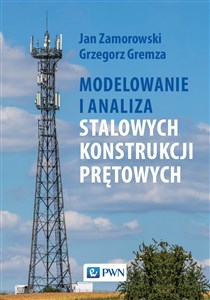 Modelowanie i analiza stalowych konstrukcji prętowych - Polish Bookstore USA