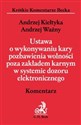 Ustawa o wykonywaniu kary pozbawienia wolności poza zakładem karnym w systemie dozoru elektronicznego Komentarz  