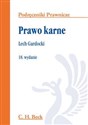 Prawo karne chicago polish bookstore