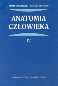 Anatomia człowieka Tom 4  